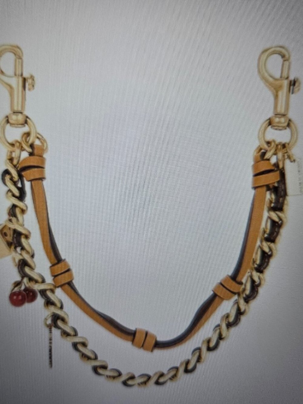 Coach Swag Bag Charm